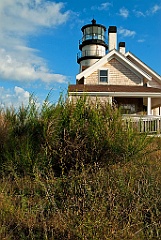 Brush Surrounds Highland (Cape Cod) Lighthouse